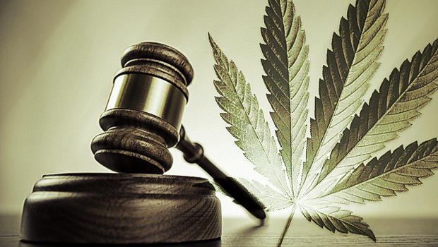 Marijuana Use And Construction